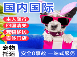 景德镇罗家空运公司国际宠物托运 【国